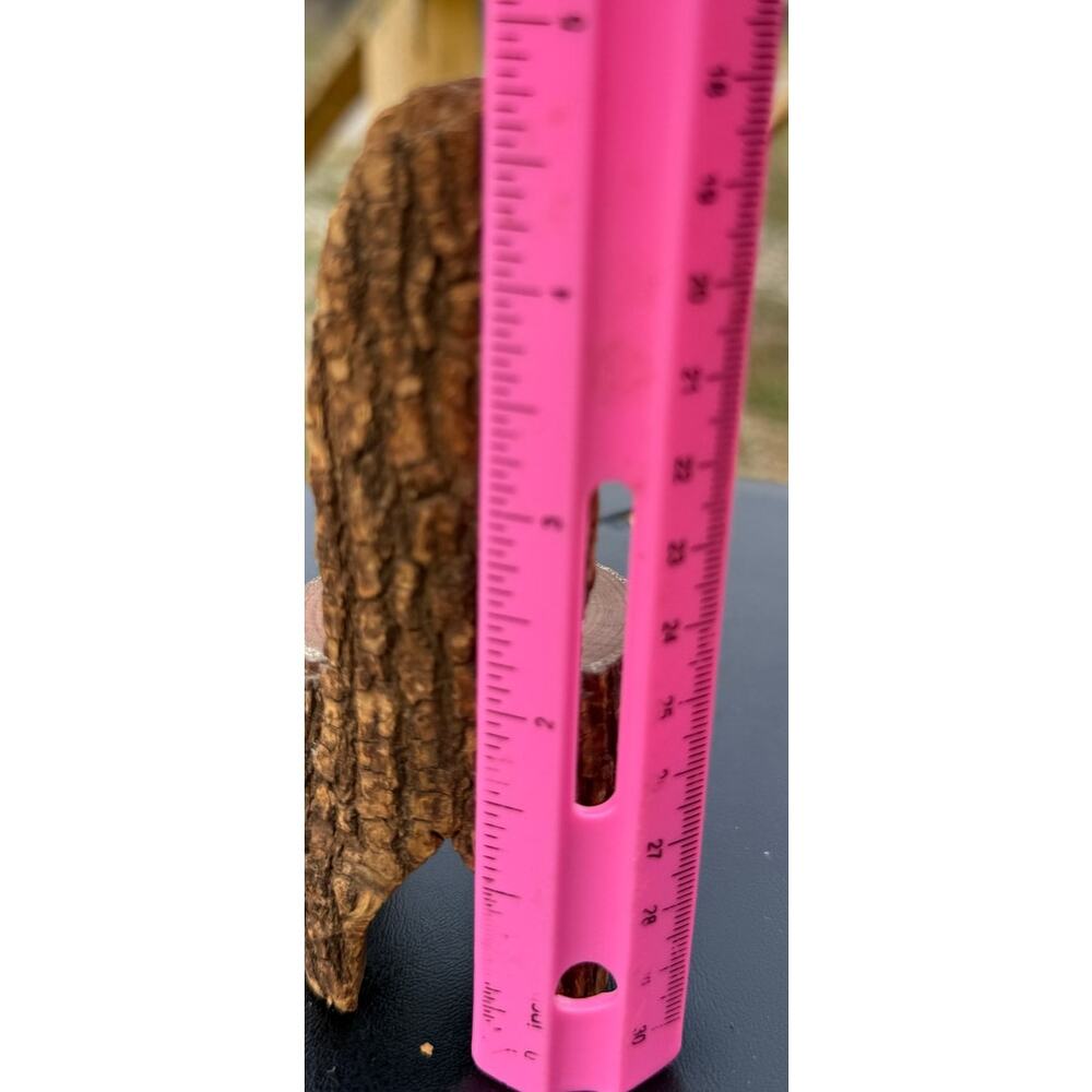 🪵 Bennett Spring MO Log Slice Mini Chair Rustic Souvenir Vintage Cabin Decor - Picture 4 of 4